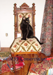 GOTHIC CHAIR